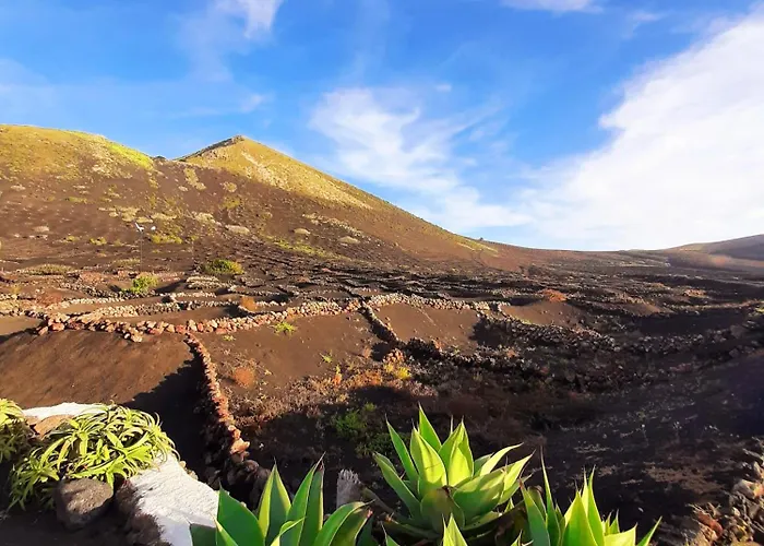 Costa Ii * تيغيسي