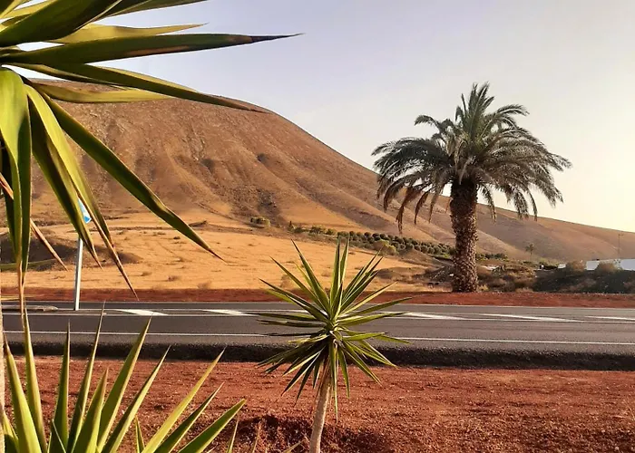 아파트 Costa Ii 테기세